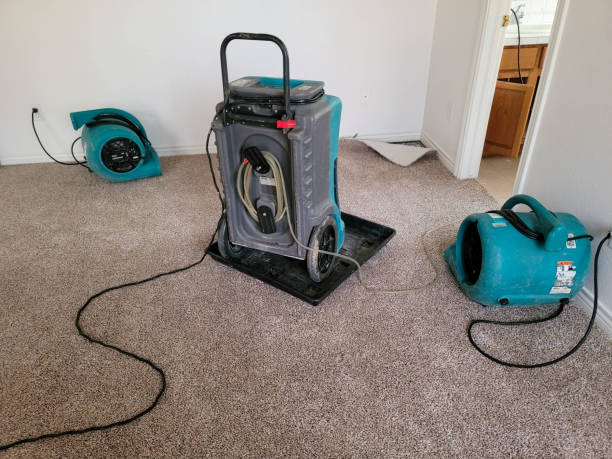 Best Water damage restoration near me  in Buffalo, NY