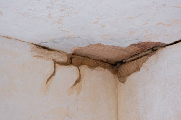 Best 24/7 water damage repair  in Buffalo, NY