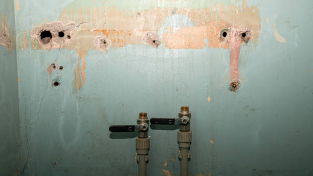 Best Ceiling water damage repair  in Buffalo, NY