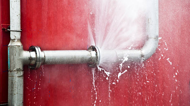 Best Water damage cleanup near me  in Buffalo, NY